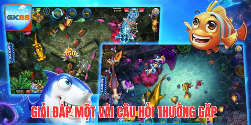 Giải đáp một vài vấn đề hay thắc mắc về chuyên mục