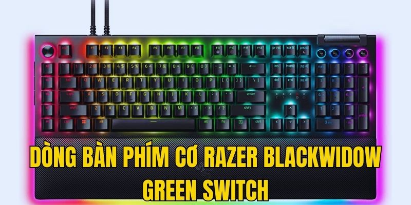 Dòng bàn phím cơ nổi tiếng Razer Blackwidow Green Switch