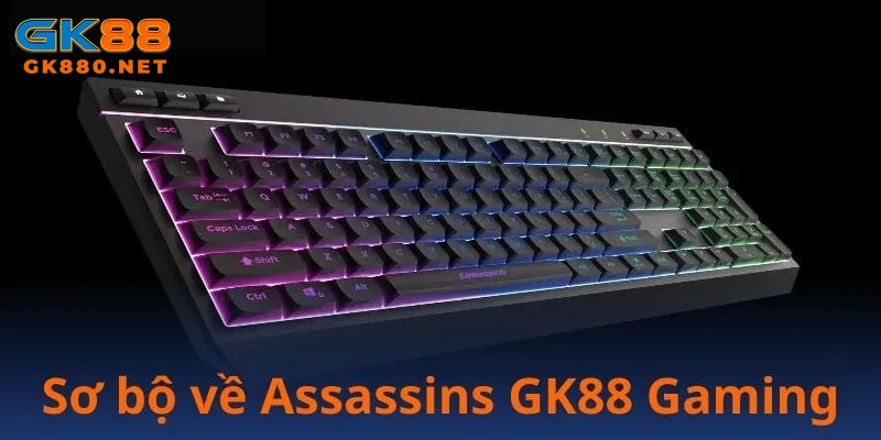 Thông tin tổng quan về loại bàn phím cơ Assassins gk88