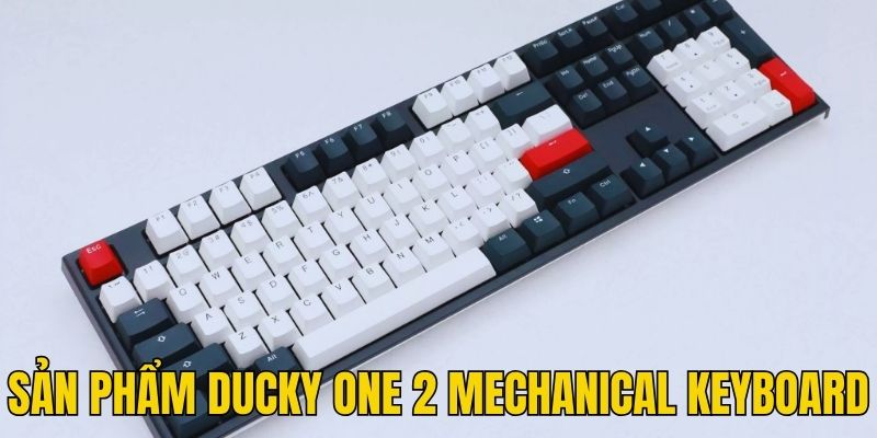 Sản phẩm Ducky One 2 mechanical keyboard