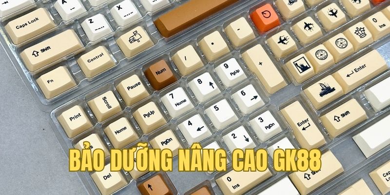 Bảo dưỡng nâng cao dành cho người yêu GK88