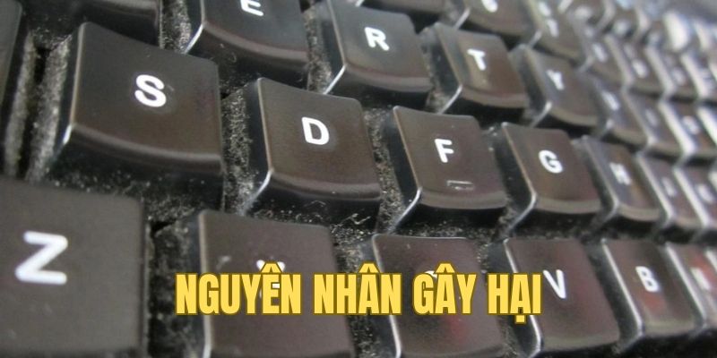 Những tác nhân gây hại cho bàn phím cơ của bạn