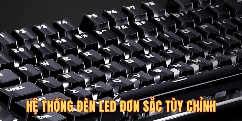 Hệ thống sở hữu đèn LED đơn sắc tùy chỉnh tiện lợi